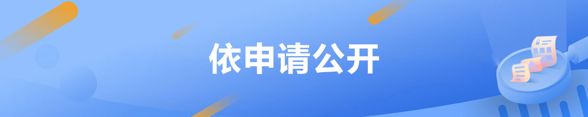 武汉市经济技术开发区依申请公开